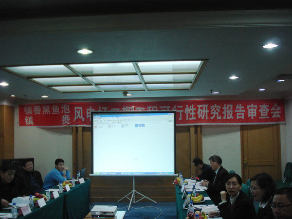吉林(lín)鎮赉黑(hēi)魚泡風(fēng)電(diàn)場(chǎng)(49.5MW)二期工(gōng)程可(kě)行(xíng)性研究報(bào)告審查會(huì)